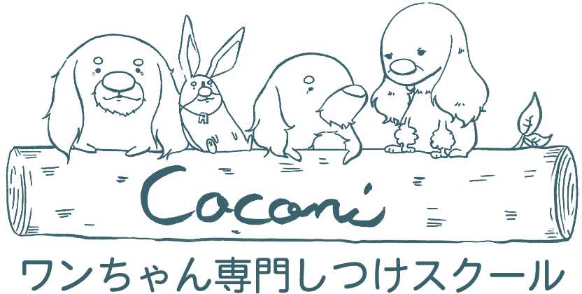 Coconi